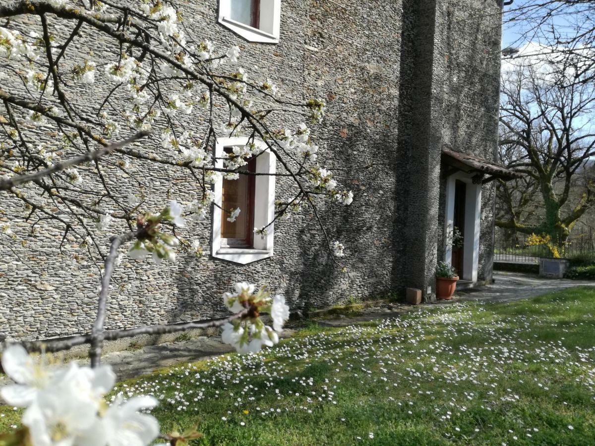 Casa Nel Verde Decollatura Exteriör bild