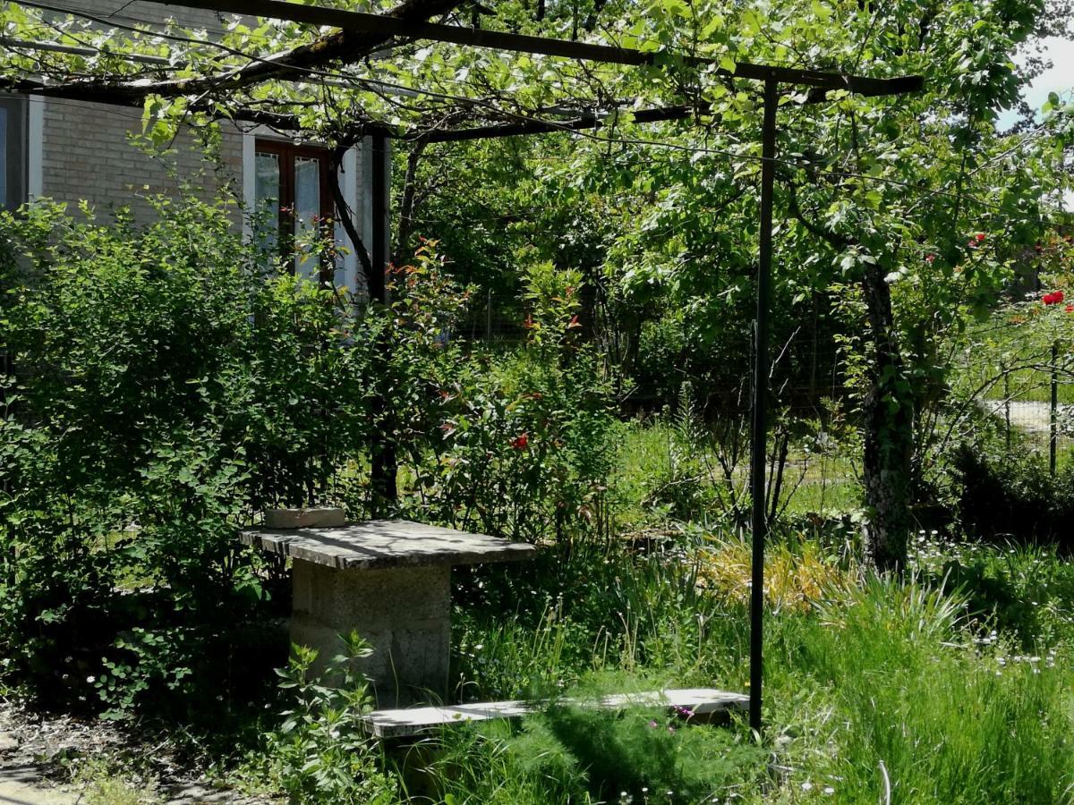 Casa Nel Verde Decollatura Exteriör bild