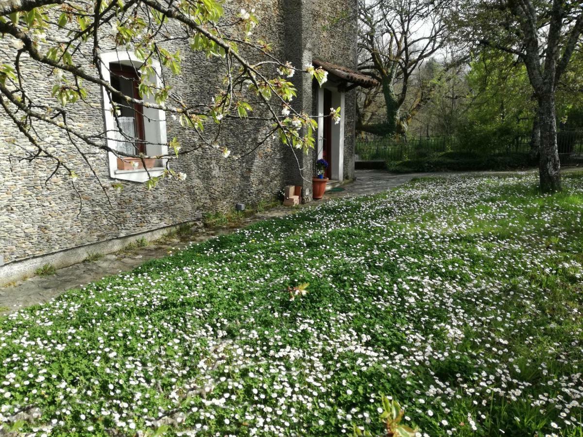Casa Nel Verde Decollatura Exteriör bild