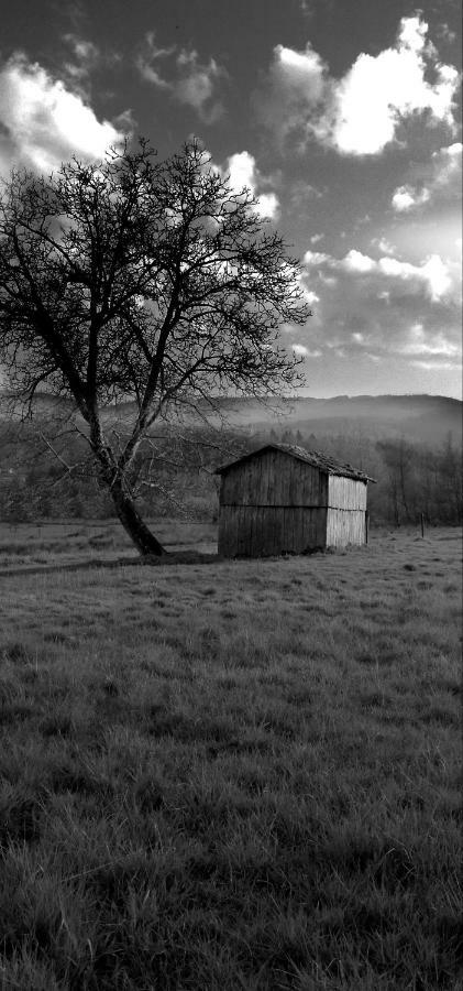 Casa Nel Verde Decollatura Exteriör bild